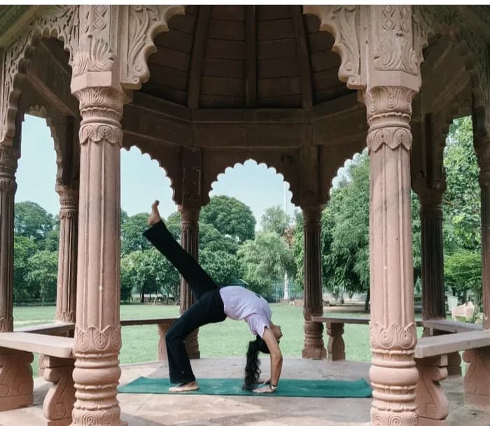 SHALU VASHISHT, Devine Yoga Online trainer